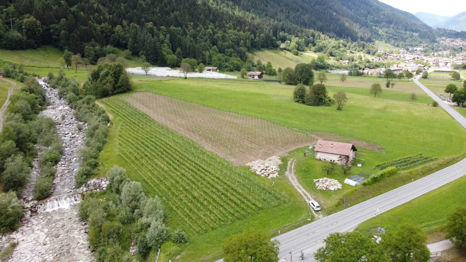 Vista aerea di un paesaggio rurale con un vigneto, un ruscello e una casa circondata da campi verdi.