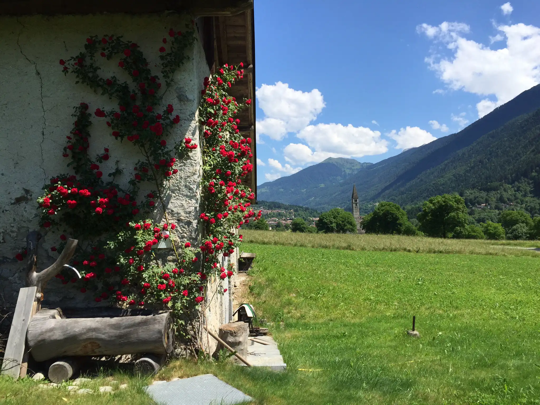 Casetta di montagna con rose rampicanti su un prato verde, circondata da montagne.