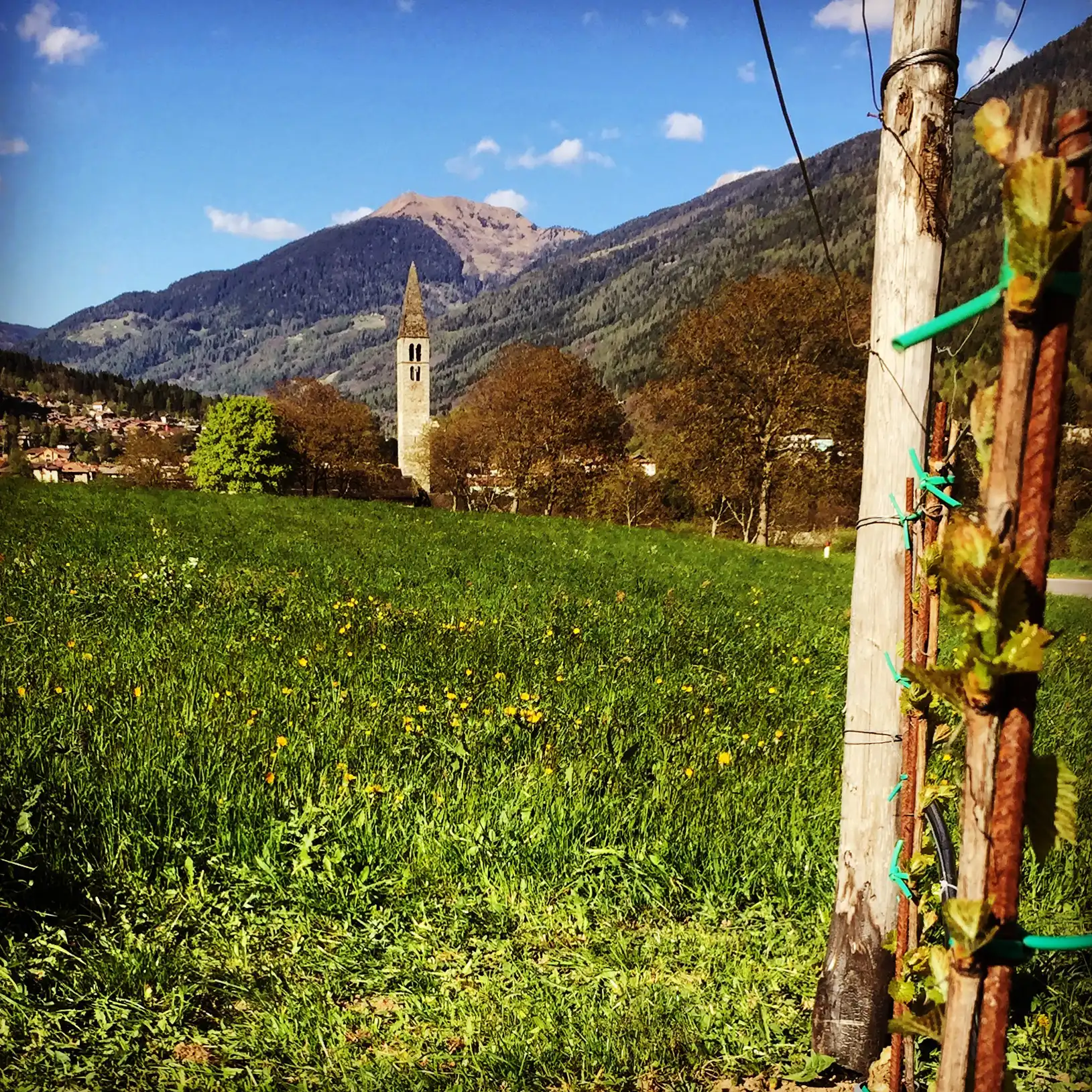 Campanile in un paesaggio montano verdeggiante.