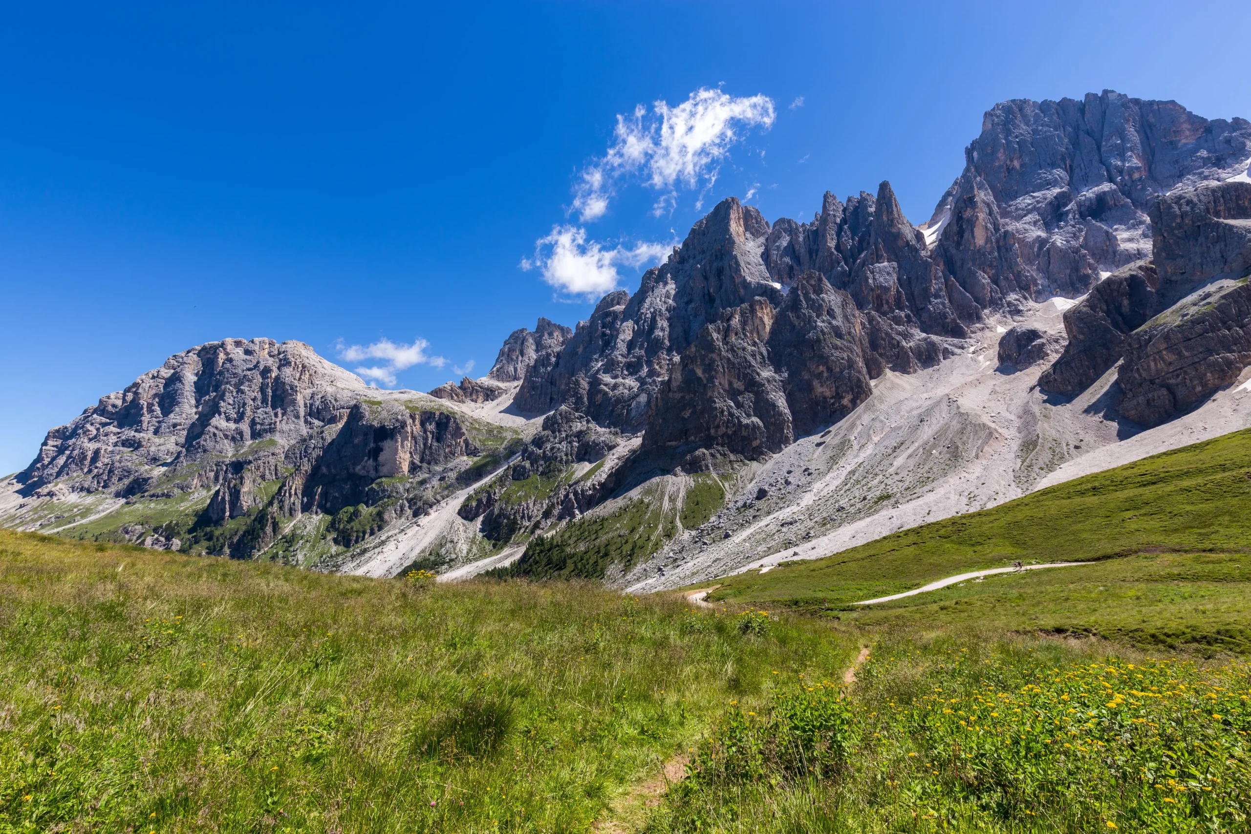 Paesaggio alpino con montagne rocciose e prato verde sotto un cielo blu.